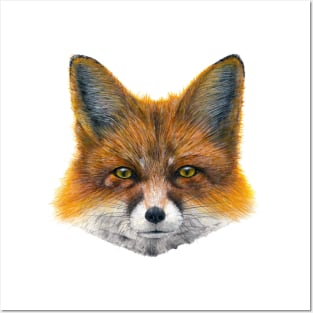 Fox face - Painting in acrylic Posters and Art